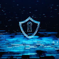 Vulnerability Management